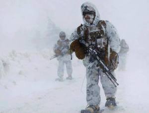 1012499_708959129115683_396507476_n